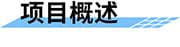 水質在線監(jiān)測系統(tǒng)_遠程在線水質監(jiān)測系統(tǒng)_實時自動水質監(jiān)測方案項目概述
