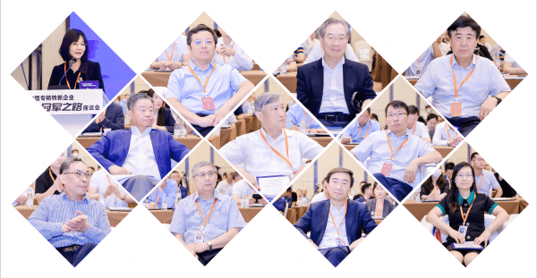 2023中國專精特新企業(yè)冠軍之路座談會部分參會人員