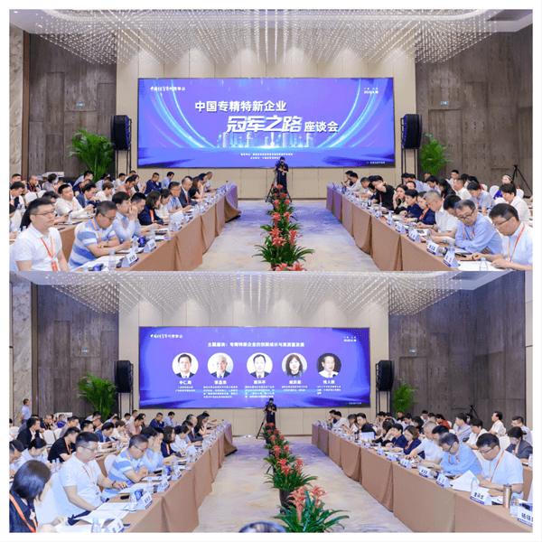 2023中國專精特新企業(yè)冠軍之路主題座談會